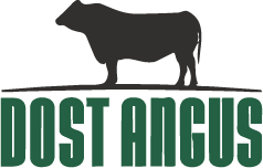 Dost angus